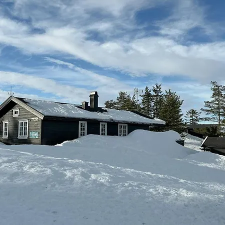 펜션 Modern With A Great Location On Blefjell 램프랜드