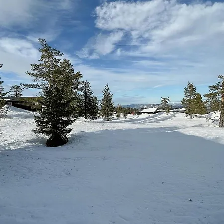 Holiday home Modern With A Great Location On Blefjell
