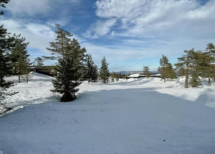 Holiday home Modern With A Great Location On Blefjell